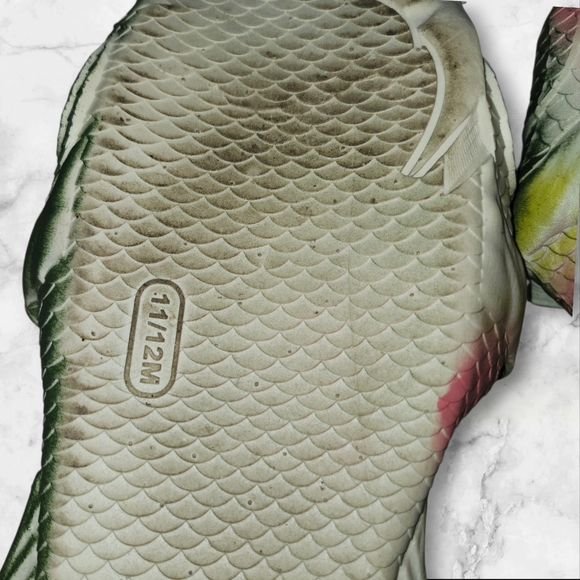 Fish Slides - Picture 4 of 4